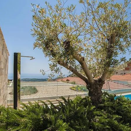 Luxury Anna With Private Pool & Jet Pool Near Dubrovnik Ivanica